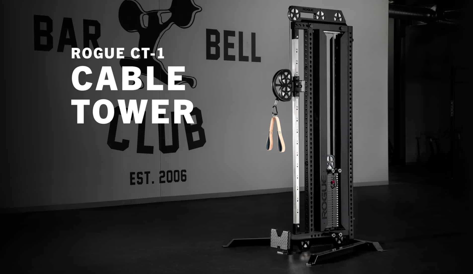 Rogue Ft Functional Trainer Fit At Midlife