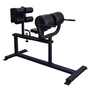 FringeSport OneFitWonder Commercial Glute Ham Developer (GHD) bench