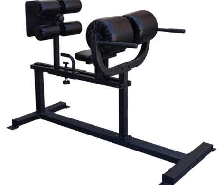 FringeSport OneFitWonder Commercial Glute Ham Developer (GHD) bench