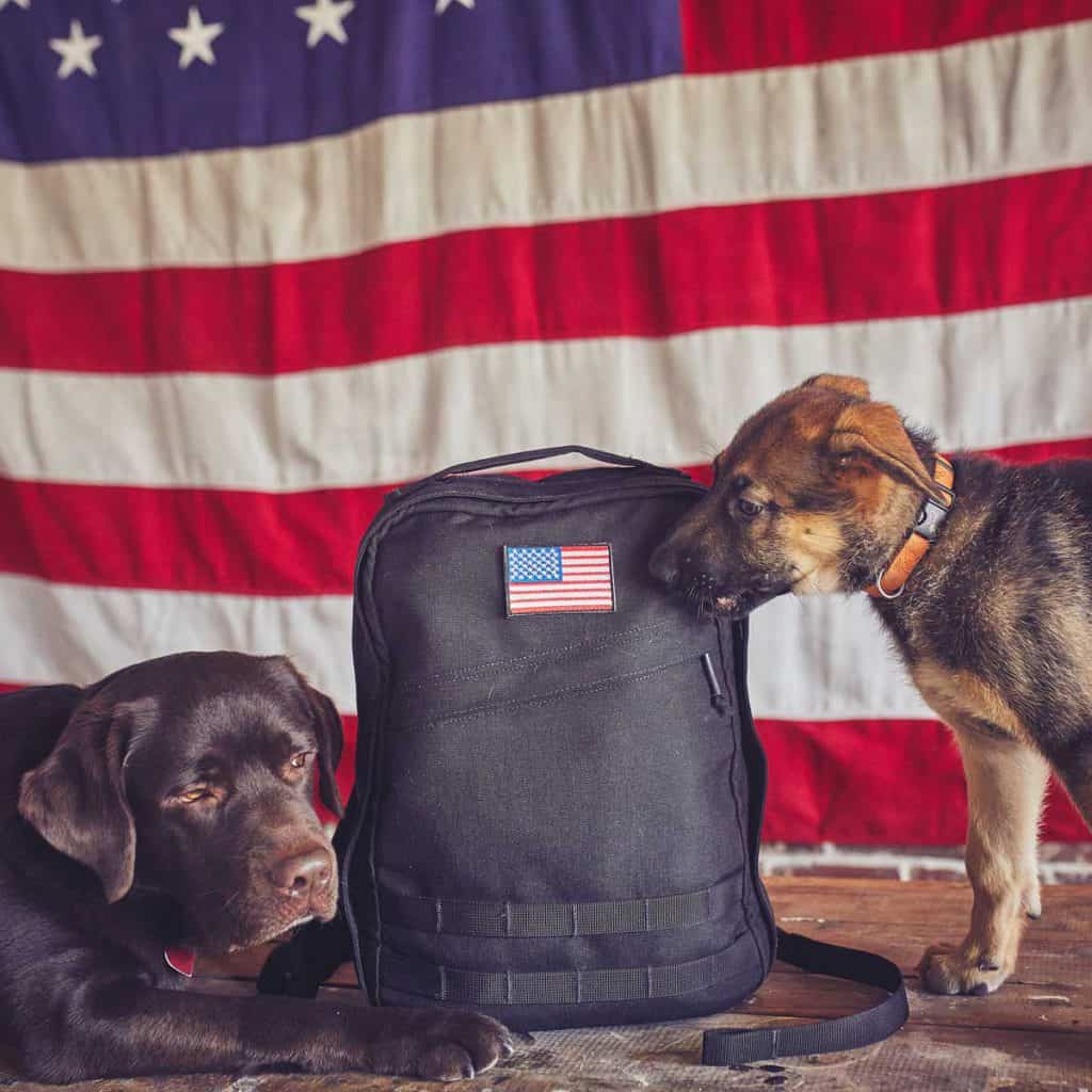 GORUCK GR0 - 16L Compact Rucksack - Made in the USA with dogs