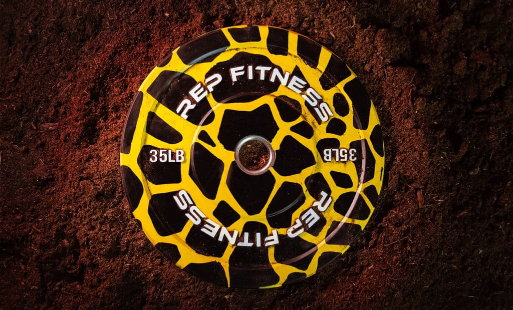 Rep Fitness Animal Print Bumper Plates yellow