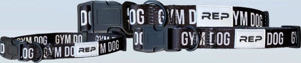 Rep Fitness Dog Collar collars