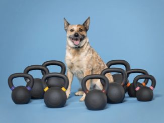 Rep Fitness Dog Collar dog and kettlebells