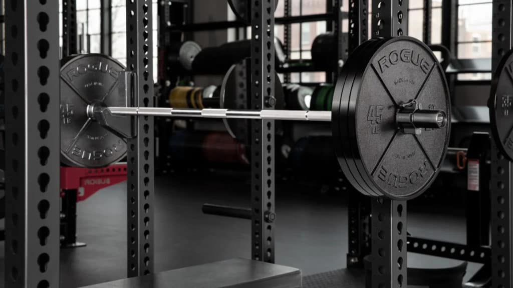 Rogue bar and online weights