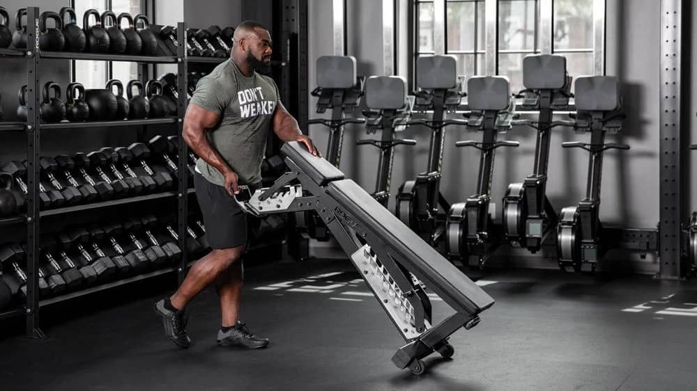 Rogue fitness workout online bench