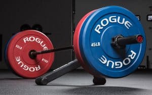 Rogue Color Echo Bumper Plate - Excellent, economical choice for training in your garage gym or home gym.