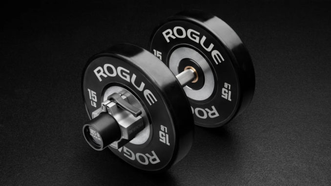 Rogue DB25-10 Loadable Dumbbell - Stainless black