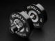 Rogue DB25-10 Loadable Dumbbell - Stainless black