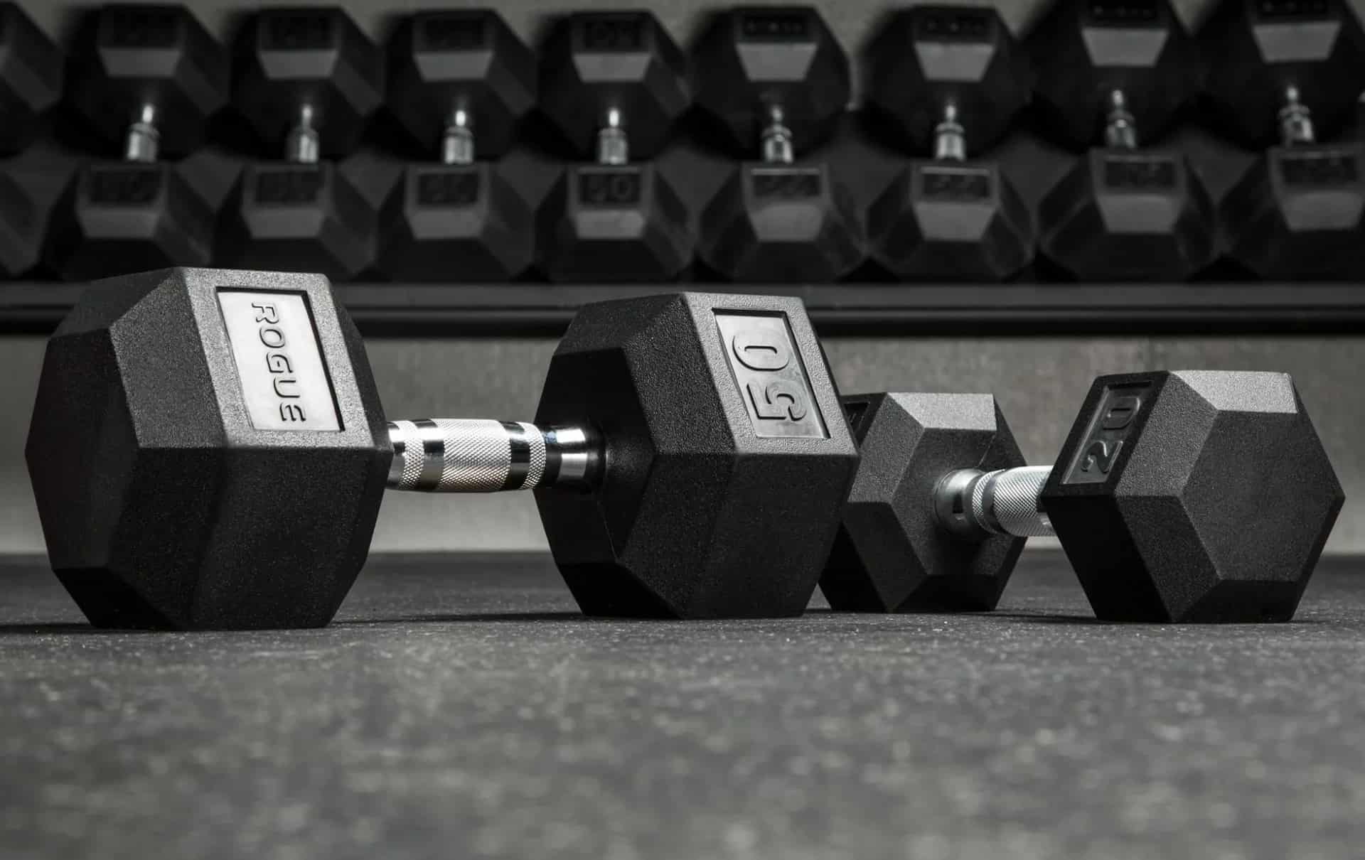 Rogue Dumbbells in the gym
