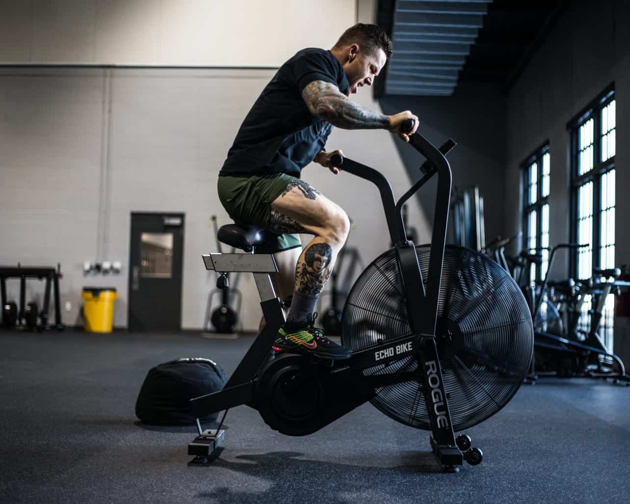 rogue echo bike vs concept 2 rower