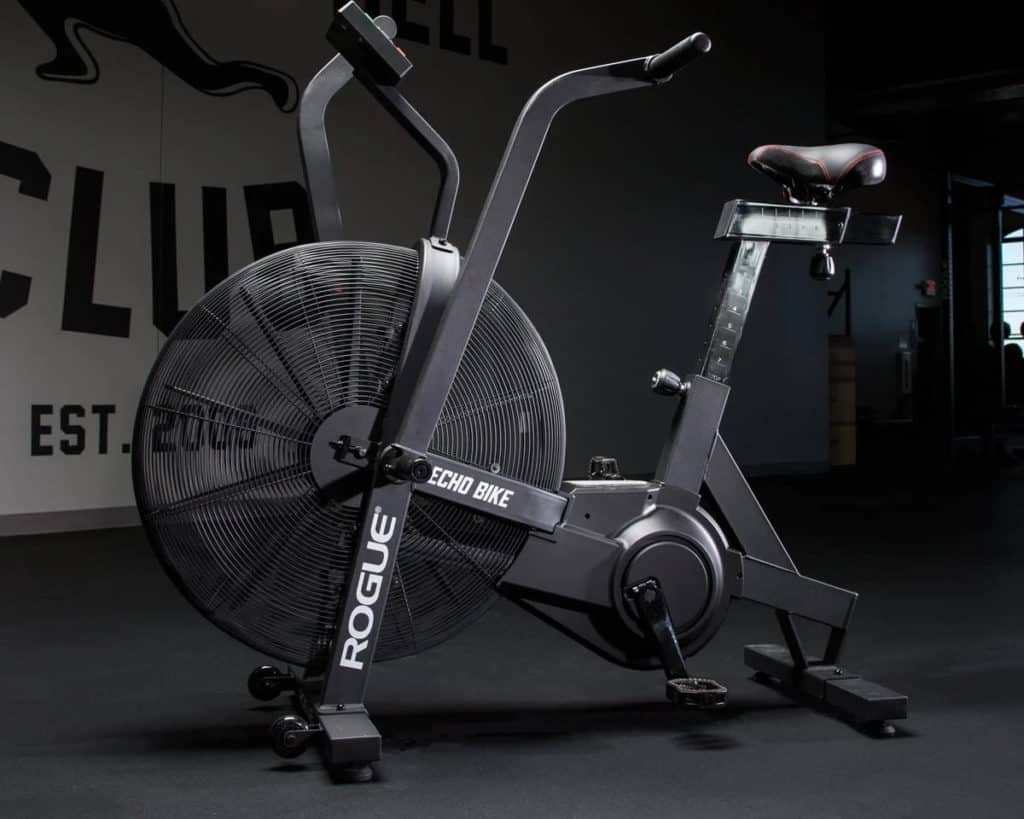 Rogue Echo Bike full view