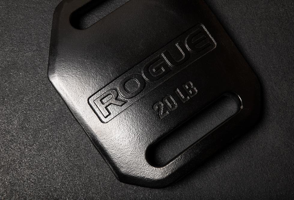 Rogue Echo Weight Vest Plate 20lb