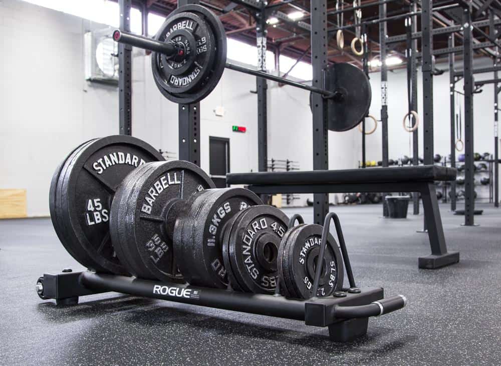 Rogue Horizontal Plate Rack 2.0 different sizes of plates