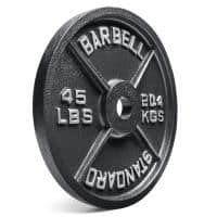 Rogue olympic best sale bumper plates