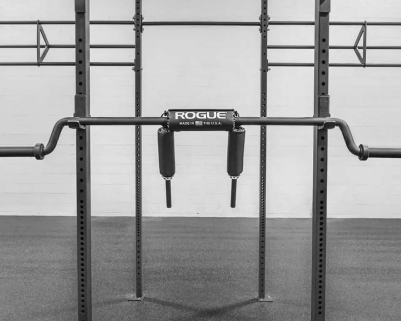 Safety Squat Bars Fit at Midlife