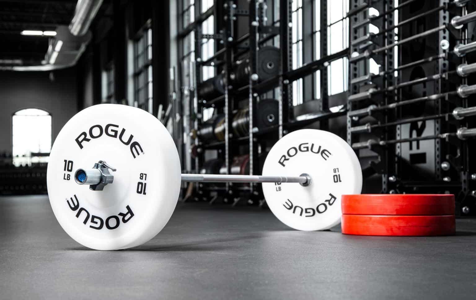Garage Gym The Olympic Weight Plates Fit at Midlife
