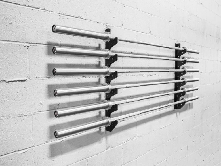 Best Barbell Storage Fit at Midlife