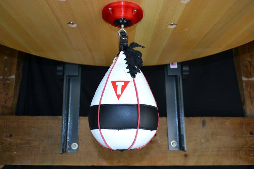 Title lightning fast speed bag review (3)