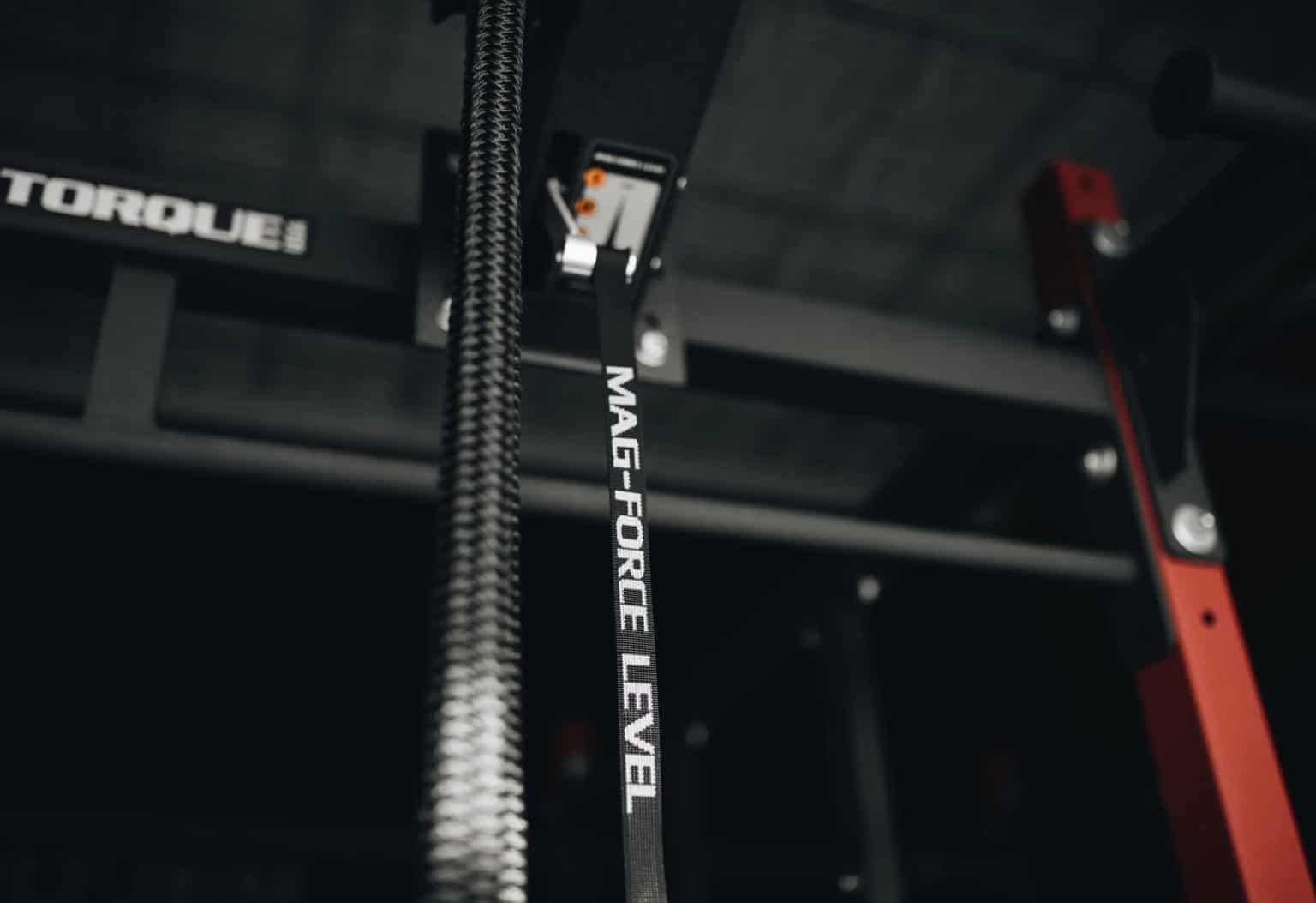 Endless Rope Trainer from Torque Fitness Fit at Midlife