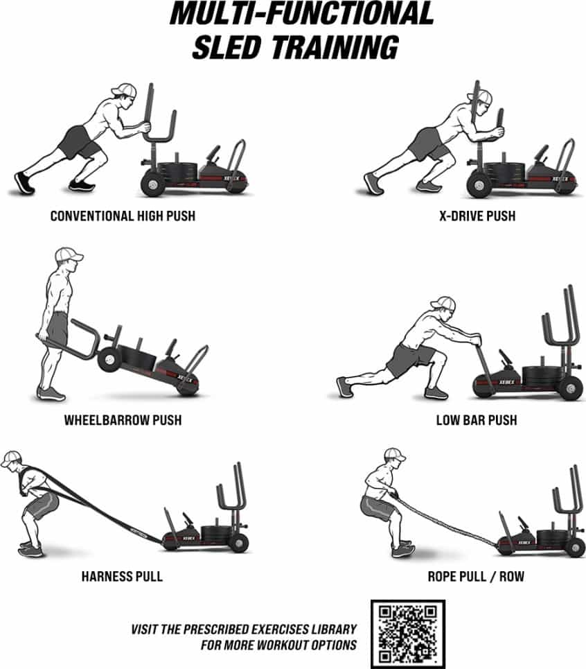 Sled workout routine sale