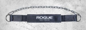 Rogue Dip Belt
