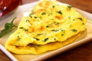 An omelette can be part of the ketogenic diet - it is low carb, high fat and protein content fits within the guidelines for ketosis