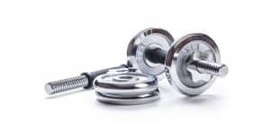 Plate loading dumbbell handles with spin locks, and shown with small standard weight plates - this is your cheapest home gym dumbbell option