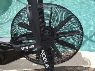 The Rogue Echo Bike has ten fan blades - and they aren't small.